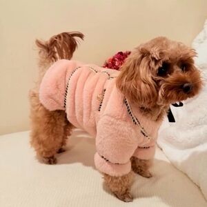 Stylist dog coat for small dogs
